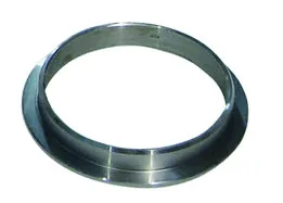 Konik Keçe Ringi (BP-SER-0029)