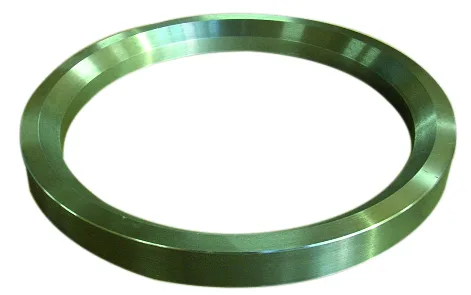 Kalın Conta Ringi (BP-SER-0026)